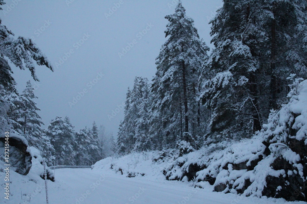 Obraz premium A snowy road winding through frost-laden trees.
