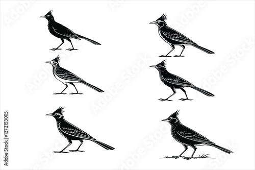 A black silhouette of a crested lark standing.