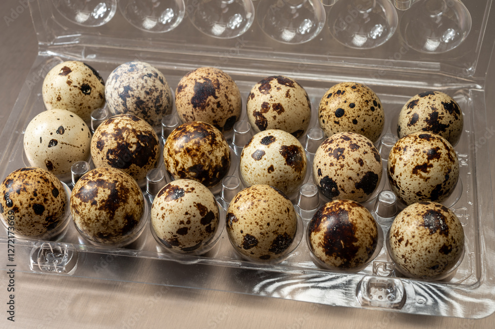 Fresh small spotted partridge or quail bird eggs uncooked in plastic box Fresh small spotted partridge or quail bird eggs uncooked in plastic box