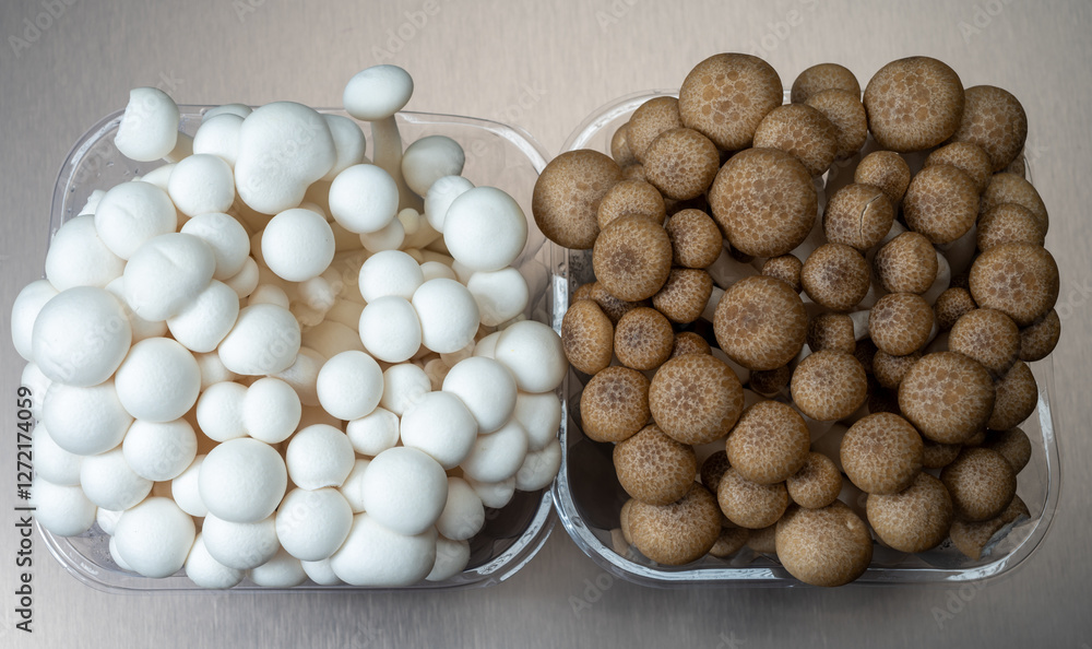 Fresh white and brown shimeji edible mushrooms native to East Asia, buna-shimeji is widely cultivated and rich in umami tasting compounds Fresh white and brown shimeji edible mushrooms native to East Asia, buna-shimeji is widely cultivated and rich in umami tasting compounds