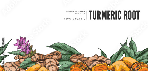 Turmeric plant flower and root, powder sketch seamless border vector design, hand drawn Curcuma spice, ginger condiment