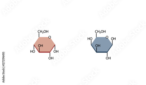 Monosaccharides, glucose and galactose molecules, chemical structure. Carbohydrates Digestion. Vector Illustration.	