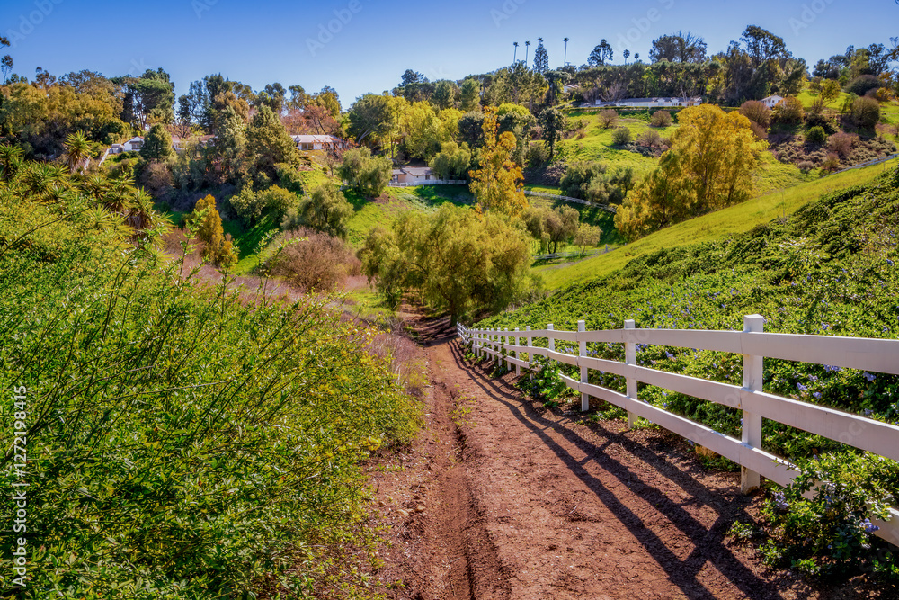 Countryside setting in a meadow style environment, rich with greenery and trails, hilly slopes, shaded with sporadic shadow and sunlight combination resting on the bed of old fallen dried leaves Countryside setting in a meadow style environment, rich with greenery and trails, hilly slopes, shaded with sporadic shadow and sunlight combination resting on the bed of old fallen dried leaves