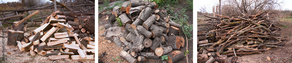 Pile of firewood with ax. Preparation for the winter in the village