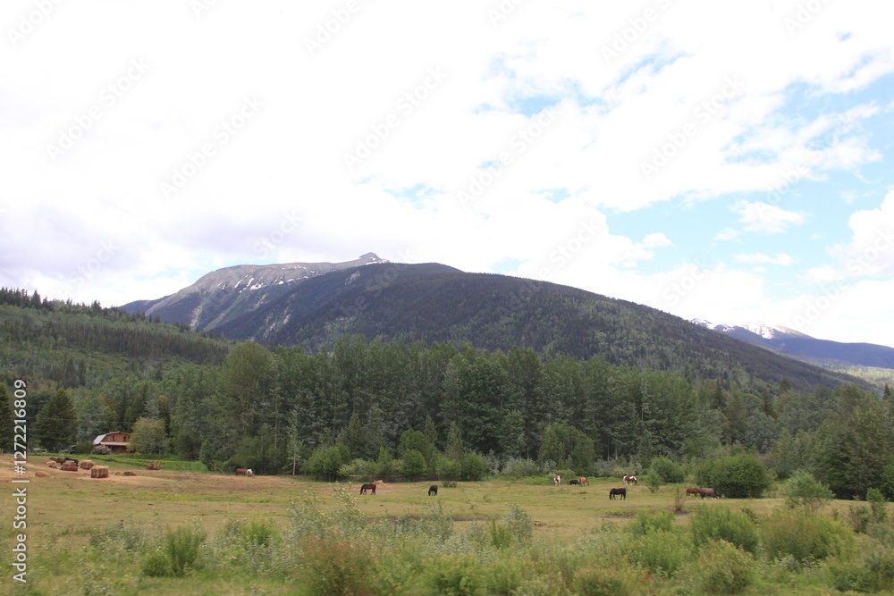 Obraz premium Smithers to Prince George B.C. Scenery