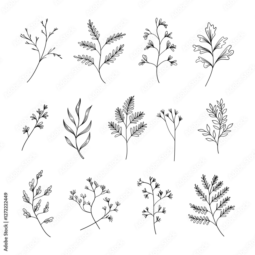Fototapeta premium A refined collection of hand-drawn botanical elements, including leaves and small branches. Ideal for branding, packaging, wedding invitations, and elegant compositions.