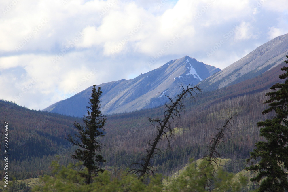 Fototapeta premium Smithers and Prince George area Scenery