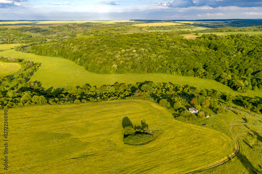 Aerial view from drone of the vast landscape of the green countryside