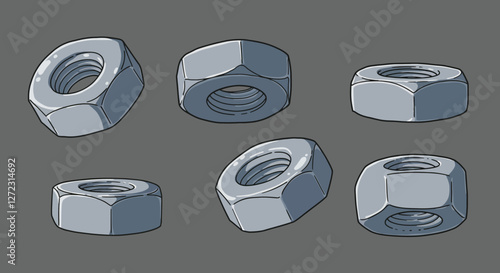 Detailed vector illustration of nuts in various angles showcasing flat design style