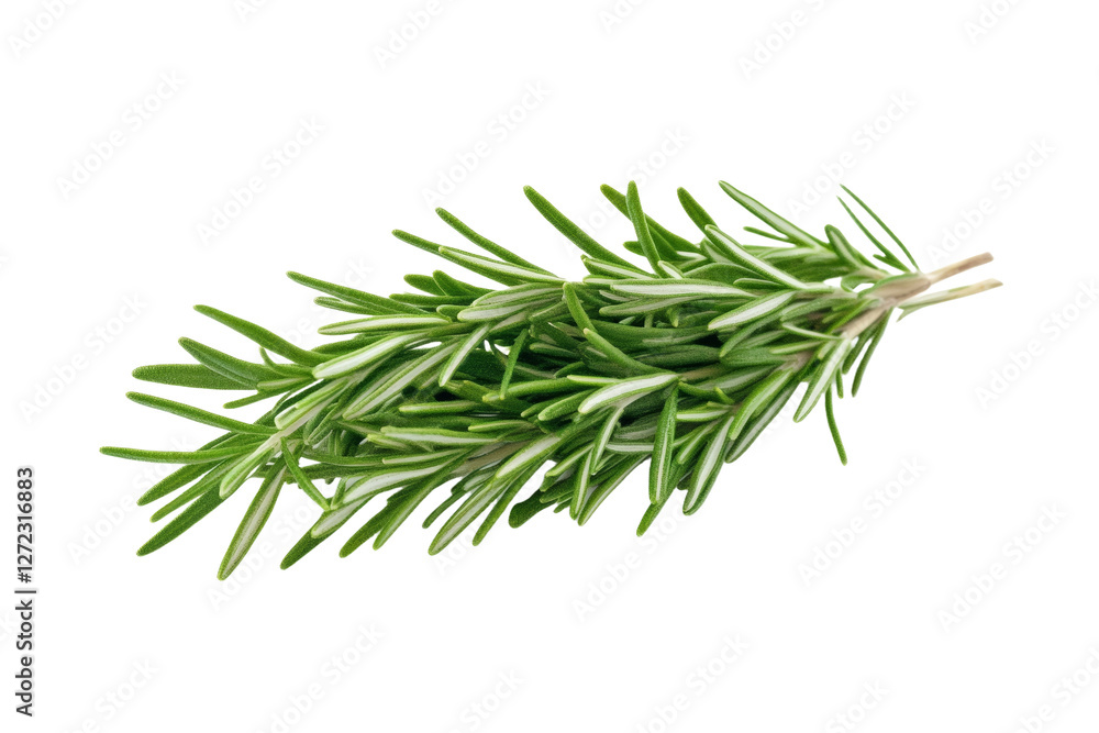 Bunch of fresh green rosemary leaves, isolated Bunch of fresh green rosemary leaves, isolated
