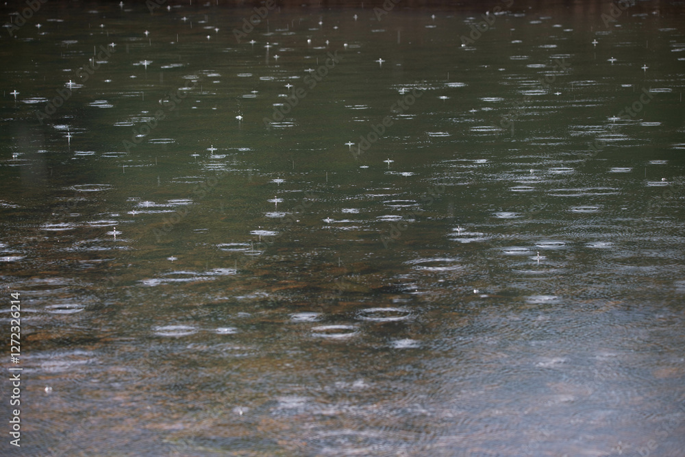 Raindrops on a calm body of water Raindrops on a calm body of water