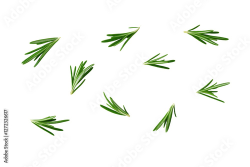 Bunch of green herbs are scattered across a white background, isolated