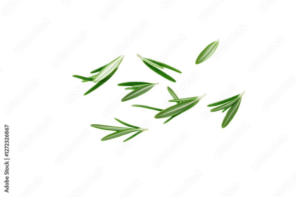 Bunch of green herbs are scattered across a white background, isolated Bunch of green herbs are scattered across a white background, isolated