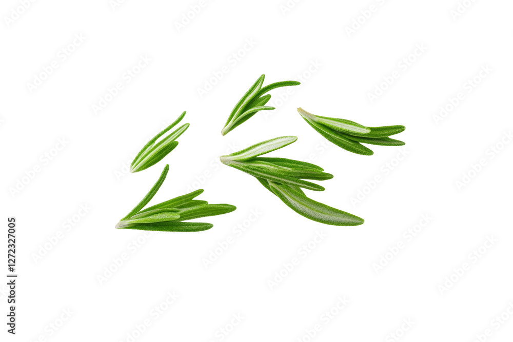 Bunch of green herbs are scattered across a white background, isolated Bunch of green herbs are scattered across a white background, isolated