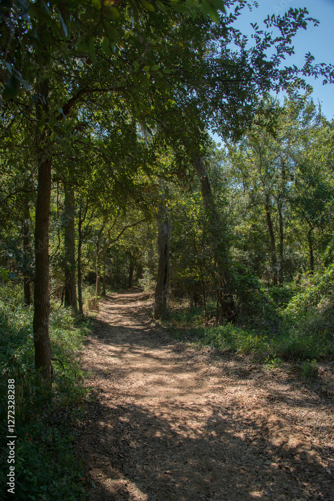 Palmetto State Park in Texas