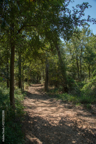 Obraz na płótnie Palmetto State Park in Texas w salonie
