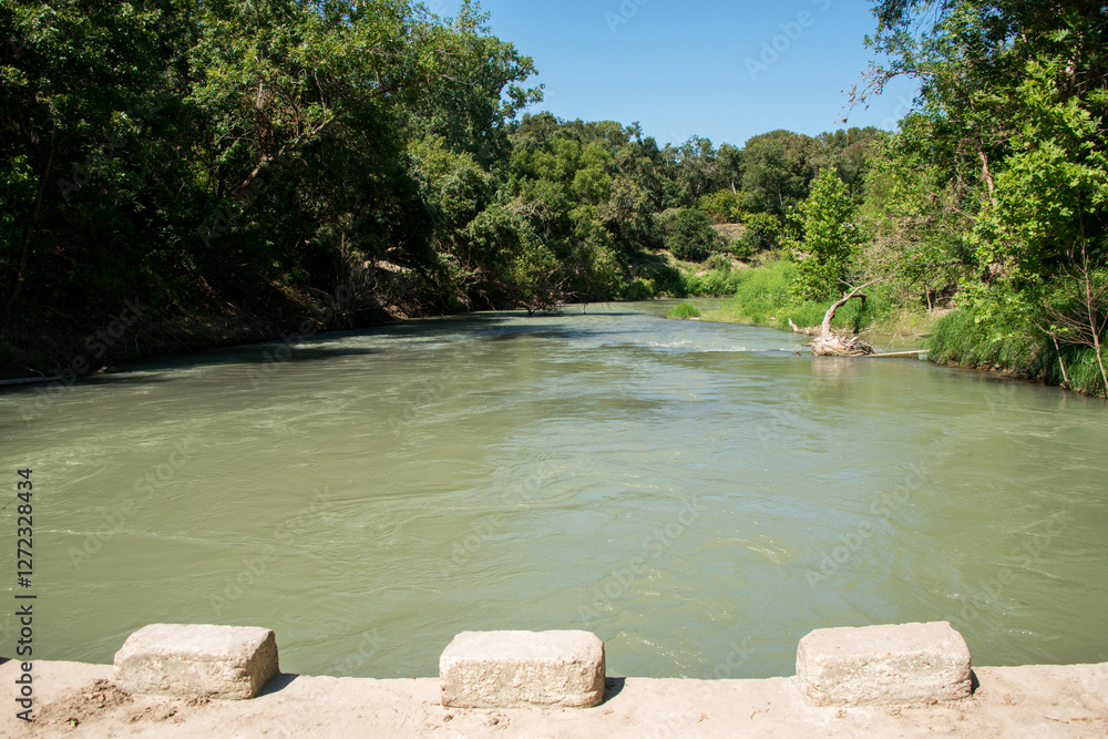 Palmetto State Park in Texas