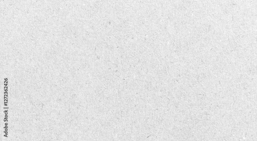 Obraz premium white recycle paper cardboard surface for texture background