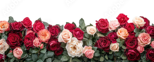 Wallpaper Mural PNG Rose arrangement roses background flowers. Torontodigital.ca