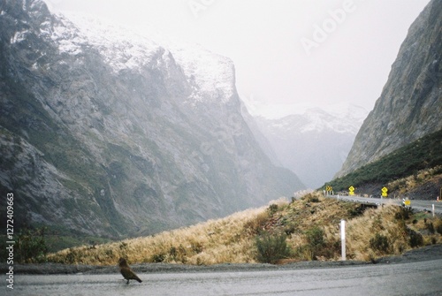 mountain in roadtrip photo