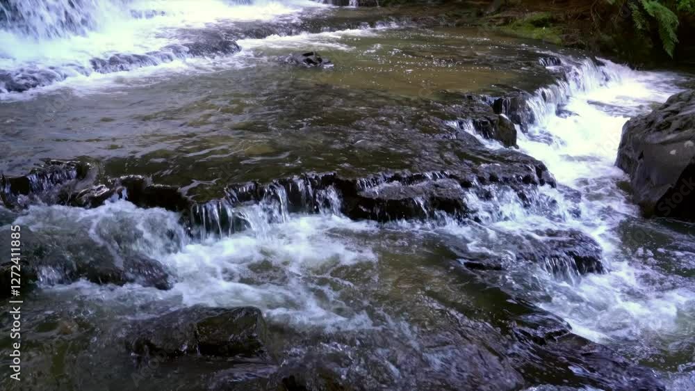 Clear Water Flows Over Dark Rocks at Purakaunui Falls – Serene Waterfall in New Zealand Clear Water Flows Over Dark Rocks at Purakaunui Falls – Serene Waterfall in New Zealand