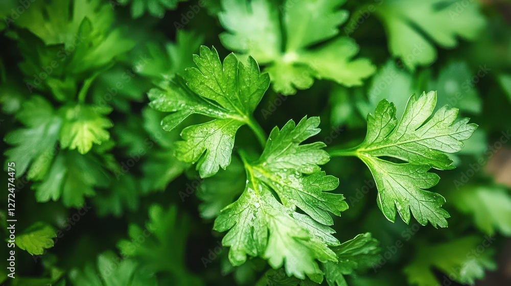 Macro Shot Capturing Intricate Textures of Fresh Green Leaves Macro Shot Capturing Intricate Textures of Fresh Green Leaves