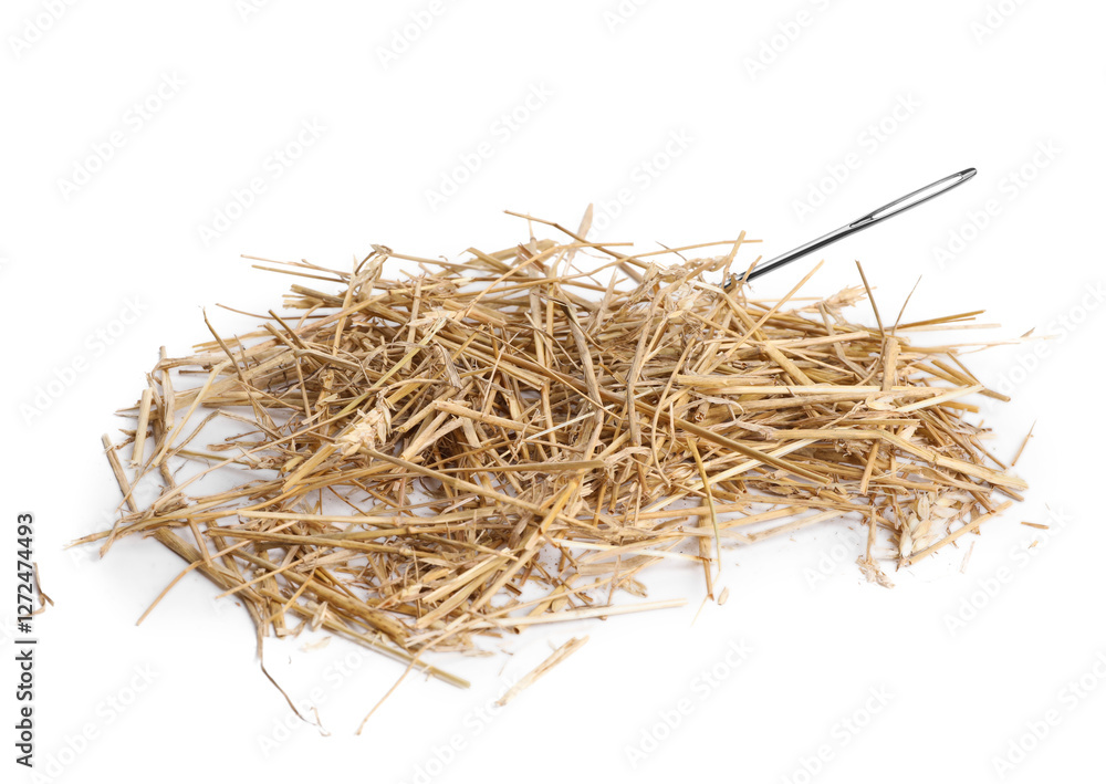 Obraz premium Sewing needle in hay on white background