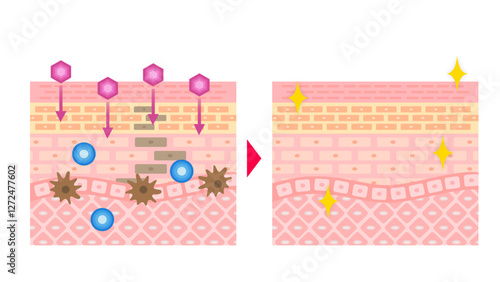 シミ発生のメカニズムとプラスミンの作用,メラニン生成と肌のシミの関係,シミの原因と分解メカニズム,皮膚構造とメラノサイトの働き,シミの生成プロセスとターンオーバー,メラニンとシミの関係を解説,肌のシミ対策に関わる細胞の働き,皮膚細胞の構造とシミの発生メカニズム,メラノサイトとプラスミンの影響,シミの原因となるメラニン生成の仕組み