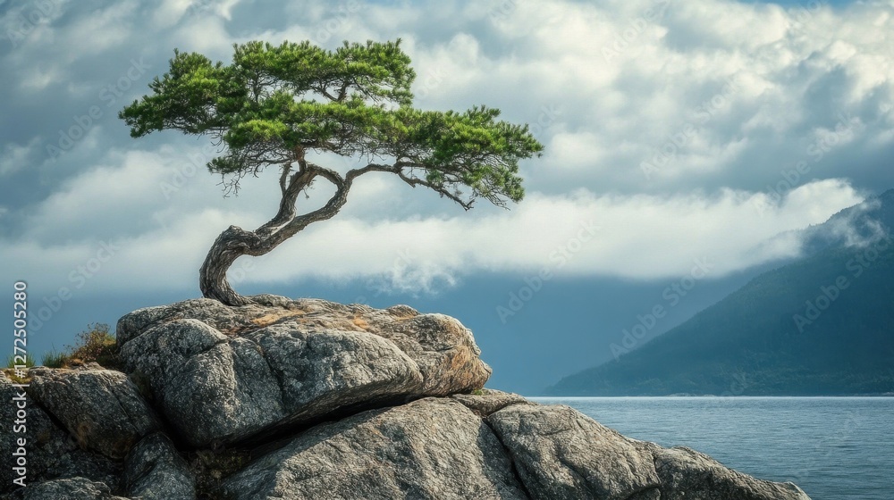 tree on the rocks stunning_landscapes_are_ tree on the rocks stunning_landscapes_are_