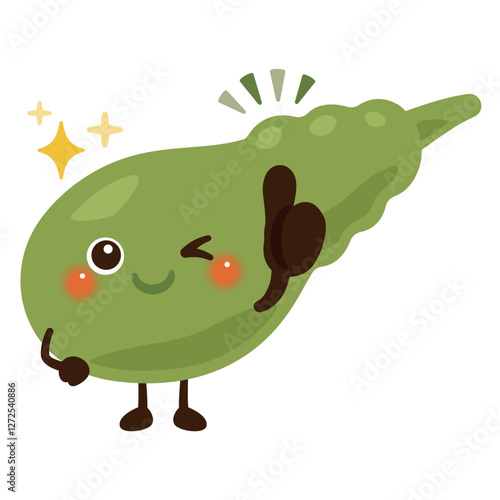 グッドサインを出す胆嚢のキャラクターイラスト