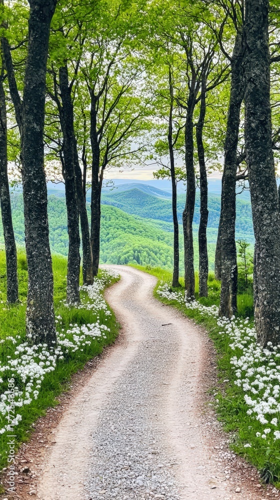 Naklejka premium A serene forest retreat featuring a scenic trail winding through towering trees, opening to a tranquil glade, perfect for self-reflection and inner peace. .