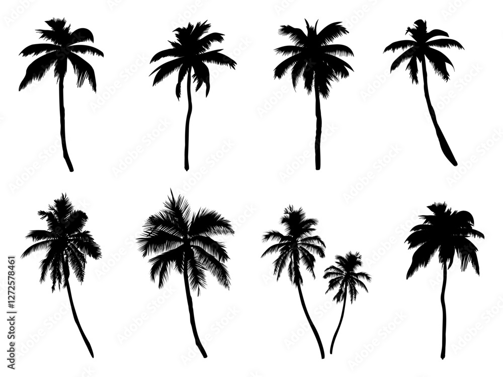 Collection of silhouettes of palm trees. and drawn isolated illustrations. Collection of silhouettes of palm trees. and drawn isolated illustrations.