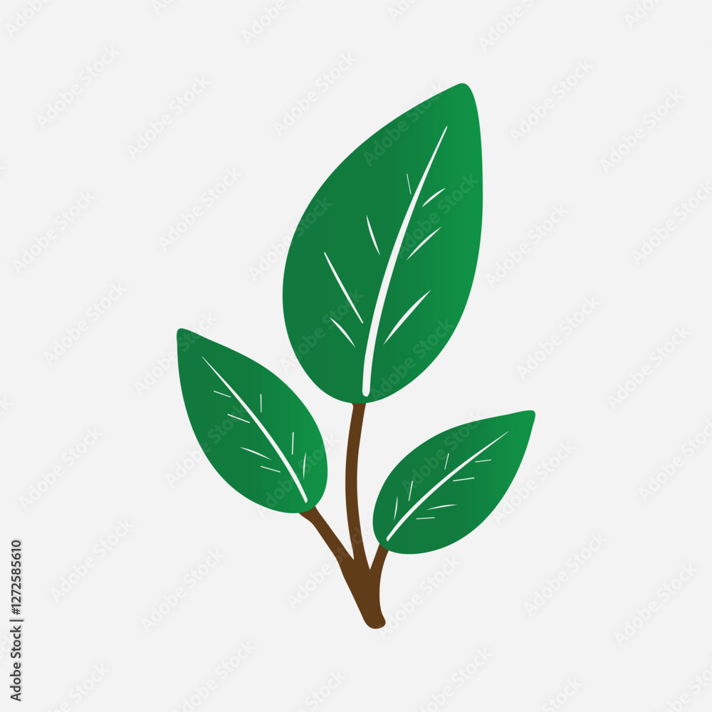 Fototapeta premium a green plant with leaves on it