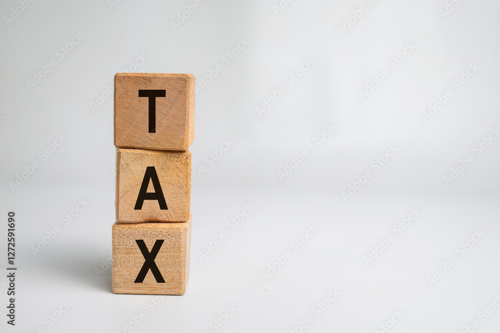 tax word text on wooden blocks concept on white background. copy space tax word text on wooden blocks concept on white background. copy space