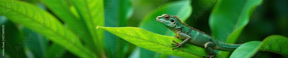 Fototapeta premium Iguane sur les feuilles du bas de un cocotier, leaves, green, wildlife