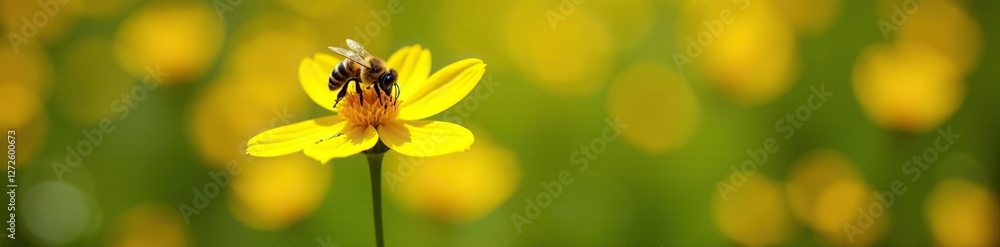 Bee collecting pollen from a bright yellow flower in a sunny garden, honeybees yellow flowers pollination, green, sunlight Bee collecting pollen from a bright yellow flower in a sunny garden, honeybees yellow flowers pollination, green, sunlight