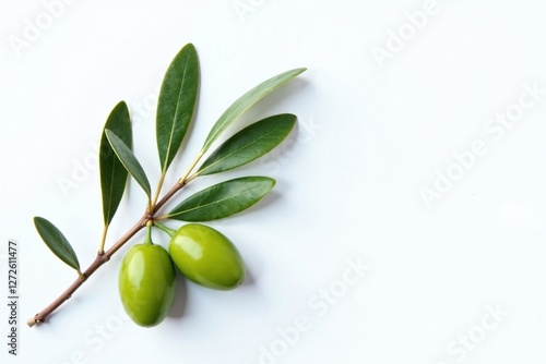 Wallpaper Mural Wooden rustic olive branch on white background with leaves and stems, still life, wood, rustic Torontodigital.ca