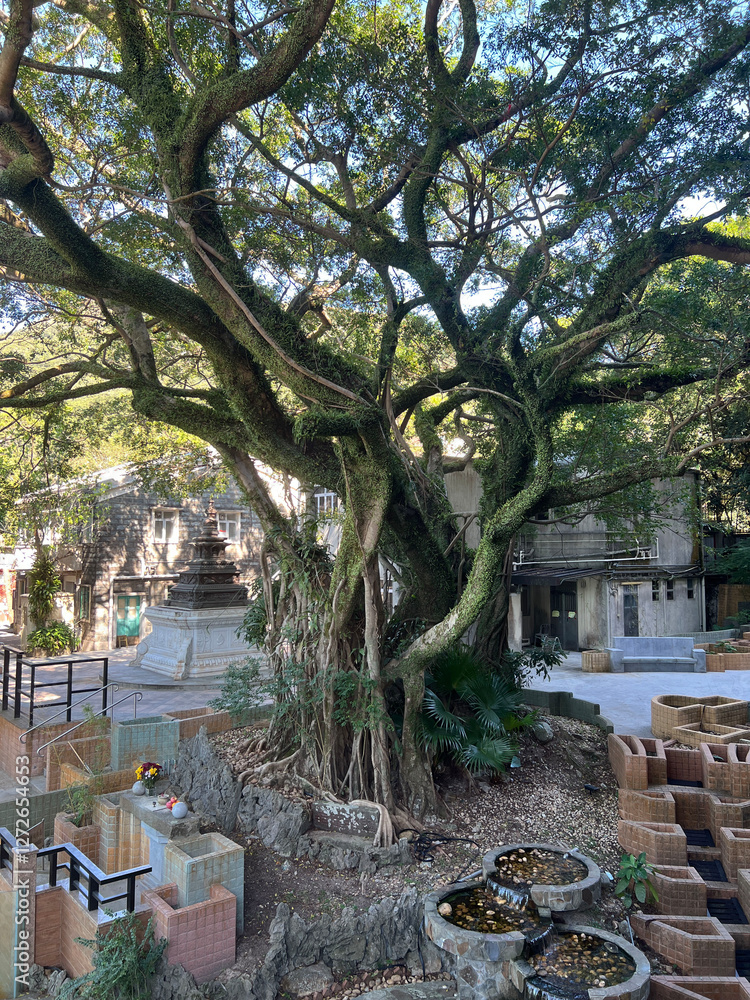 Tree at Po Lin Monastery