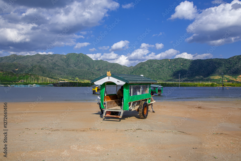 Obraz premium 由布島