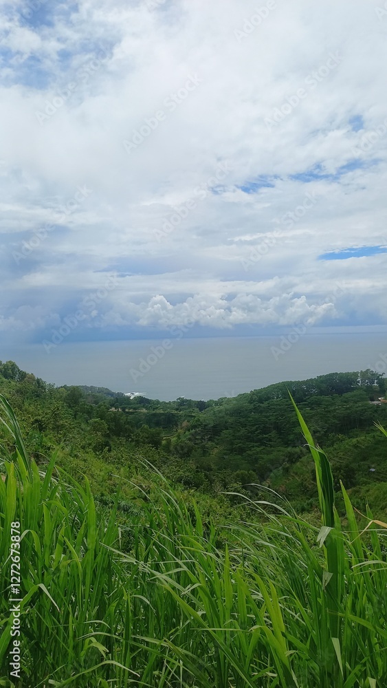 Fototapeta premium The image showcases a stunning view of lush green hills overlooking a vast ocean. In the foreground, tall green grass sways gently, adding depth and texture to the scene.