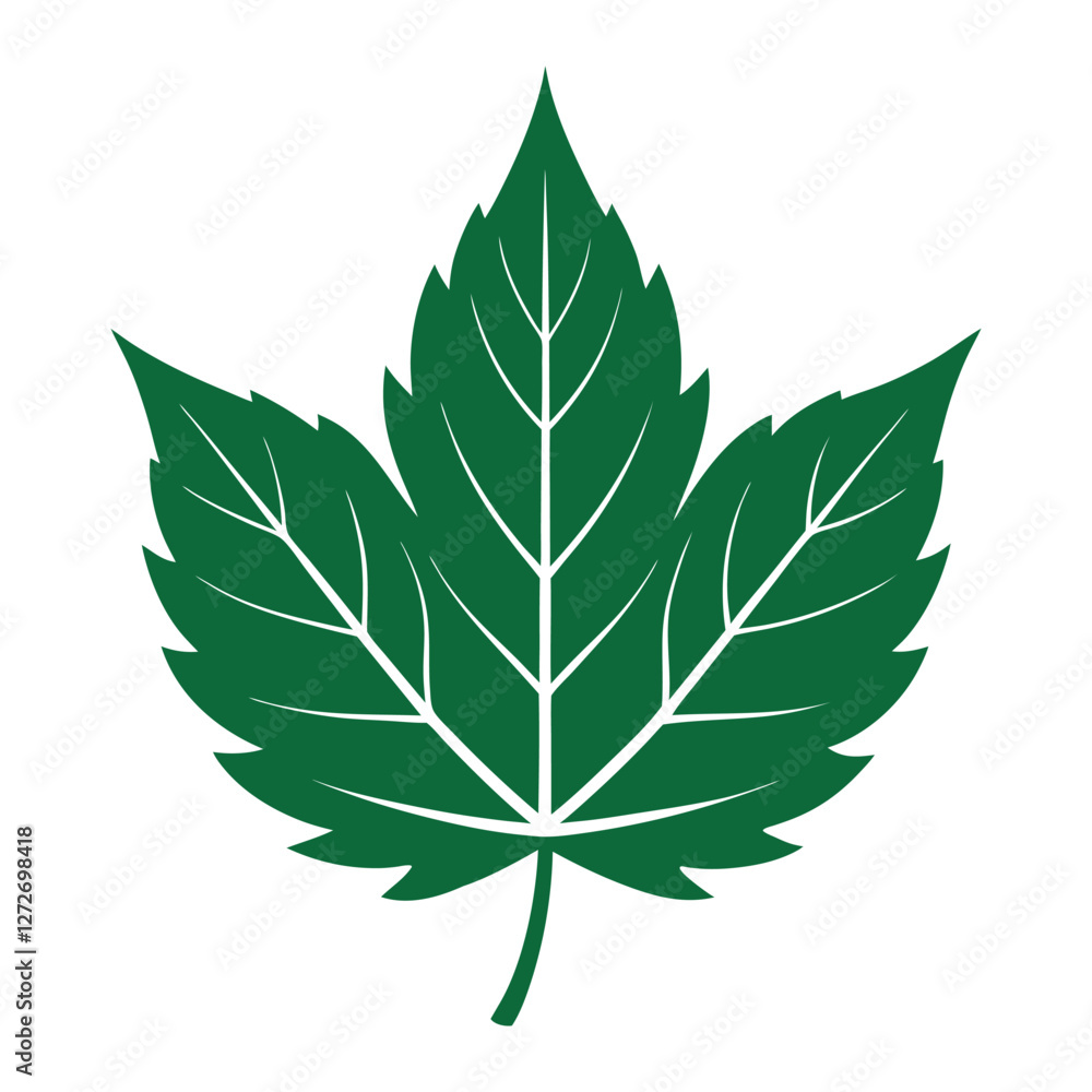 Green leaf vector. Simple illustration of a vibrant green leaf vector illustration isolated on white background Green leaf vector. Simple illustration of a vibrant green leaf vector illustration isolated on white background
