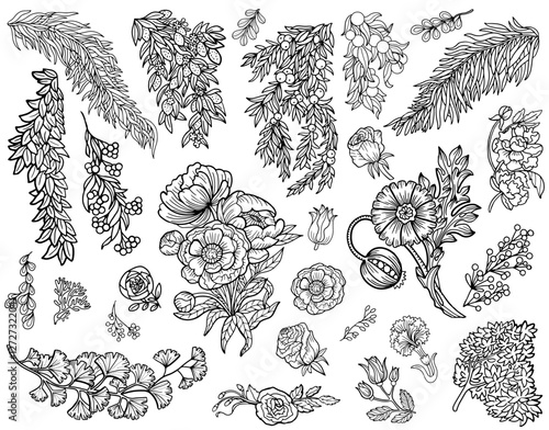 Wallpaper Mural Design vector set with line art botanical elements, leaves, fruit and flowers. Vintage floral collection with hand drawn illustrations isolated on white.  Torontodigital.ca
