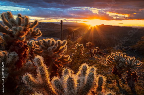Golden sunlight bathes the desert landscape as the sun sets behind rugged mountains, illuminating cholla cacti and saguaro silhouettes, creating a breathtaking scene in the American Southwest.