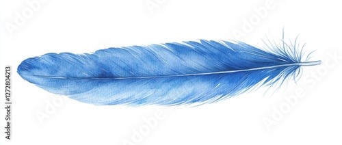 Watercolor Blue Feathers isolate on white background. Element for Greeting Cards and Wedding, Birthday and other Holiday and Summer Invitation Cards 