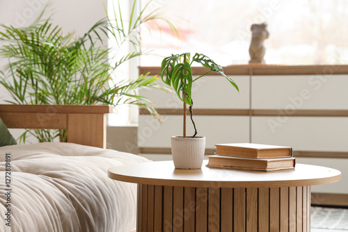 Palm plant with books on coffee table in living room photo