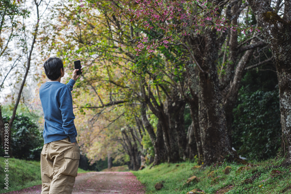 solo traveler in nature concept with asian man take photo bby phone and sightseeing with pink cherry blossom tree in springtime season solo traveler in nature concept with asian man take photo bby phone and sightseeing with pink cherry blossom tree in springtime season