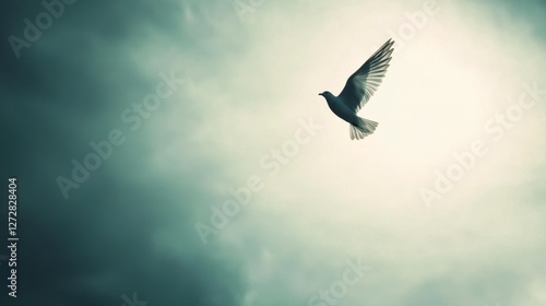 Elegant Bird in Flight Against Dramatic Cloudy Sky Background