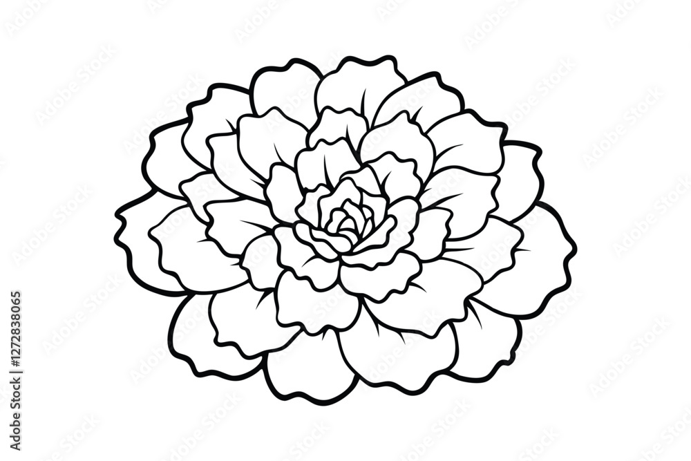 Line art illustration of a marigold flower for coloring books.eps Line art illustration of a marigold flower for coloring books.eps