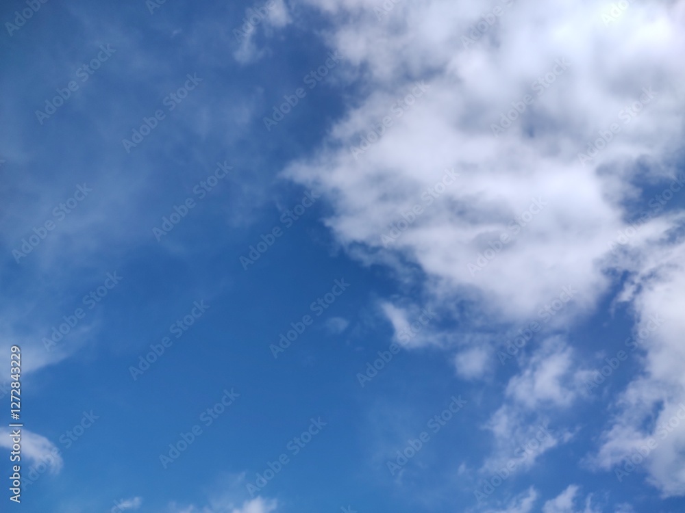 Obraz premium 東京のそら(25.2.18)