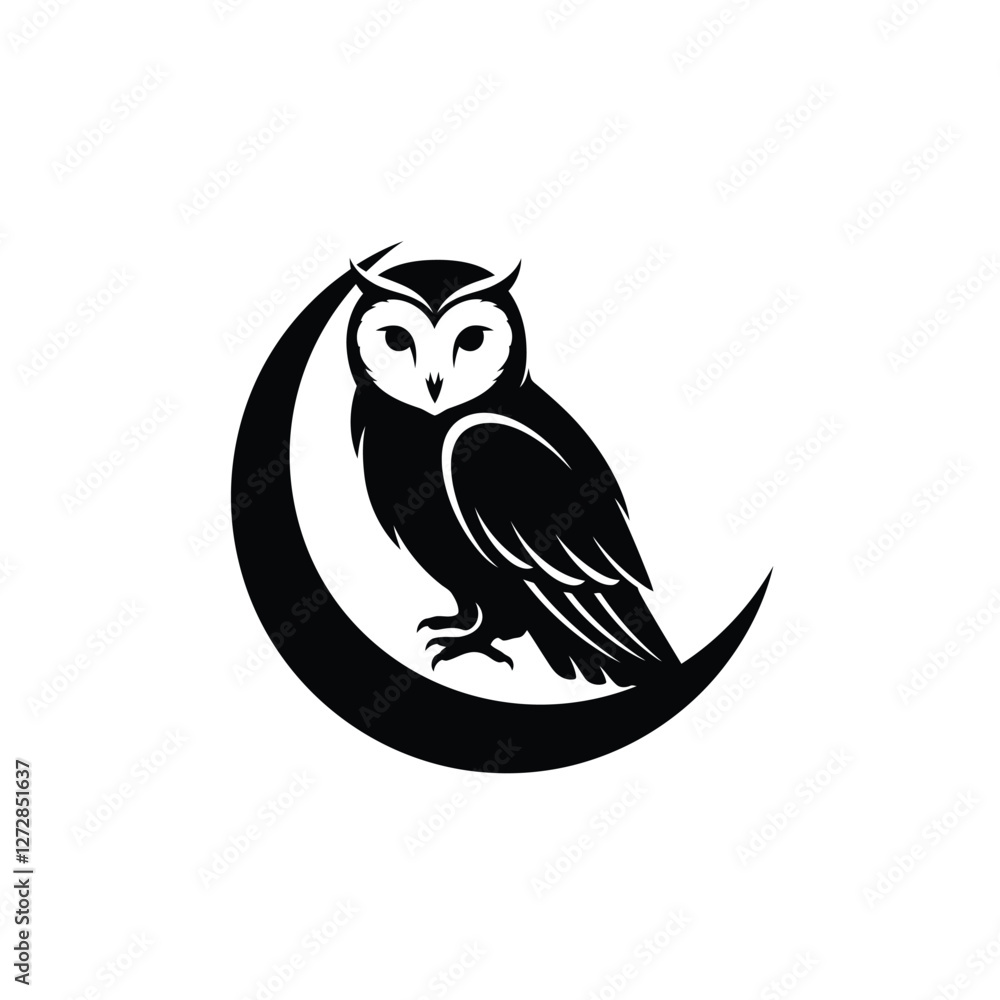 Fototapeta premium owl on a white background